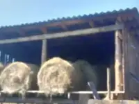 Сено в рулонах