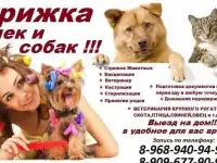 Груминг животных в Москве,Стрижка кошек и собак Выезд на дом в Москве.Домашняя передержка животных в Москве