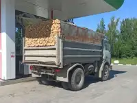 Купить дрова Берёзовые колотые.