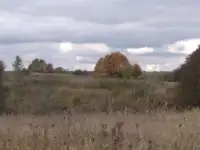 Продам земельный участок, Псковская обл.Локнянский р-н,Миритиницкая волость., фотография 3