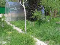 Дача на лето, фотография 6