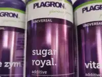 PLAGRON Sugar Royal 100 ml