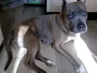 Срочно отдадим девочку