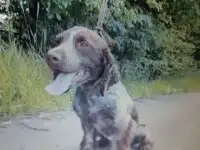 Вязка