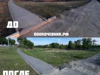 Спил деревьев и кустарников, мульчирование, фотография 8
