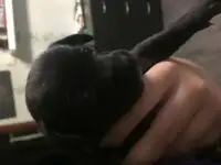 Тойчики