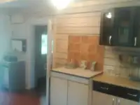 Дача в чистейшем сосновом лесу на Карельском перешейке, фотография 2
