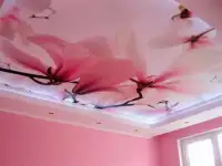 Натяжные потолки, фотография 2