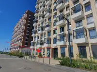 Аренда коммерческого помещения свободного назначения, пос. Новоселье