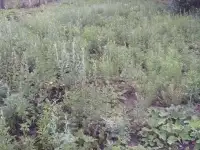 Локомотив 40 уфа, ул.Тоннельная, фотография 3