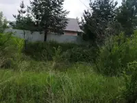Земельный участок, С. Малая Царевщина, 33км, фотография 3