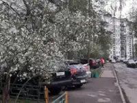 Квартира, 33,00 м², 1 эт., Канавинский, Сергея акимова ул, 2, фотография 12
