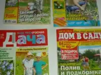 Дача