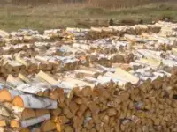 Дрова колотые, фотография 3
