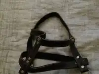 Шлейка для собаки