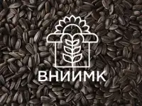 Семена подсолнечника ВНИИМК гибрид Сурус ОР