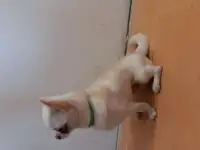 Вязка