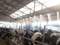 Охлаждение животных. Системы туманообразования