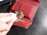 Продам четырехлистный клевер, приносящий удачу, здоровье , везение и любовь