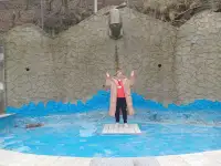 ищу работу няни