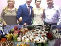 Организация свадеб 