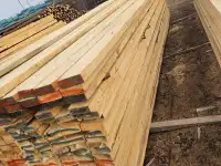 Доска обрезная Сорт 1-2 из Сухостоя 50х150х6000, фотография 2