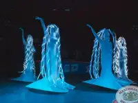 Световое шоу Селебрити