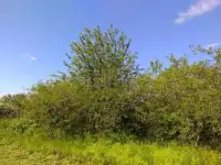 Продам жилой дом 30,00 м2, фотография 9