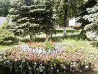 Озеленение участков