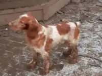 Продаю