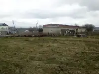 Хранение коз, коровы, кур и пары лошадок