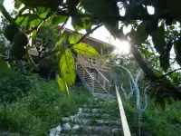 Отдых в Абхазии 2019 цены у самого моря частный сектор