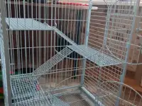 Клетка для грызунов