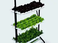 Growsvet hydro salat 3 + light
