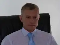 Тендерное сопровождение.