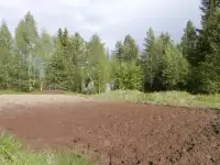 дачный участок, село Колвица