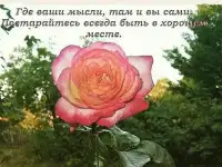 Сантехнические ремонтные работы