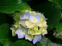 уборка квартир