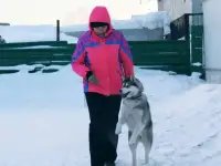 Площадка для дрессировки собак, фотография 4