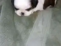 Замечательный подарок своим Любимым к 8 марта!!!!, фотография 2