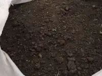 Продам сапропель