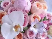 ТРЕБУЕТСЯ СИДЕЛКА ТОЛЬЯТТИ