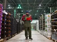 Агроном на склад, Товаровед-эксперт плодоовощной продукции