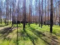 Продам коммерческую недвижимость