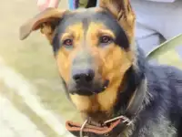 Графу очень нужен дом, который нужно охранять