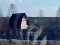 Продам участок п.КРАСНЫЙ