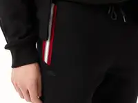 Мужские спортивные брюки lacoste из эластичного хлопка, фотография 4