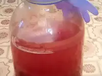 Винный гриб