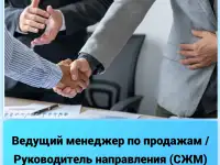 Ведущий менеджер по продажам  Руководитель направления СЖМ