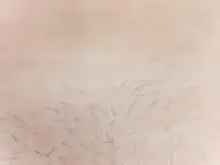 Мастер депиляции